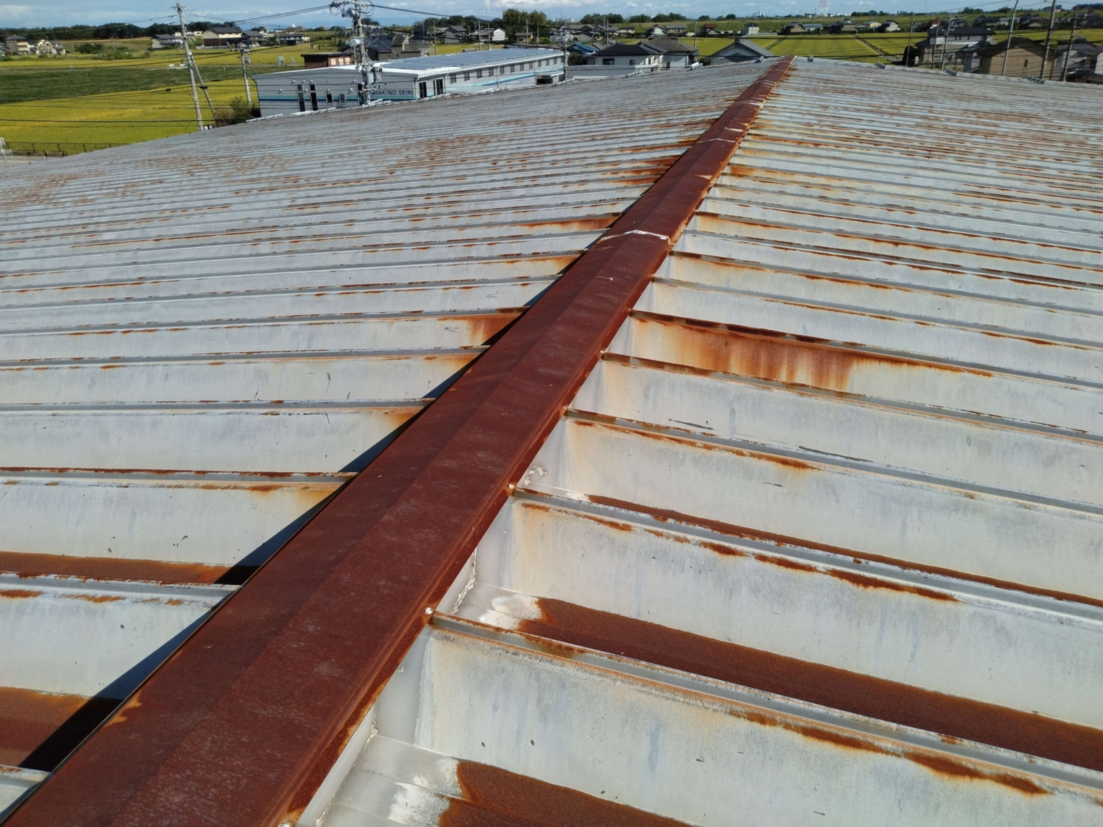 image_copy_3694x2771