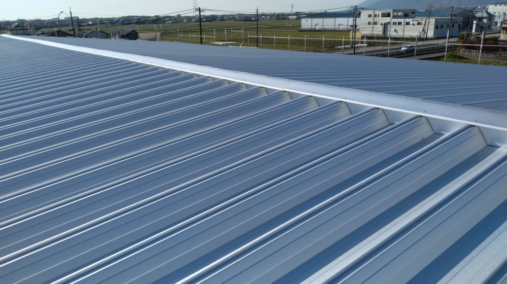 DSC_0531_copy_3998x2998_1