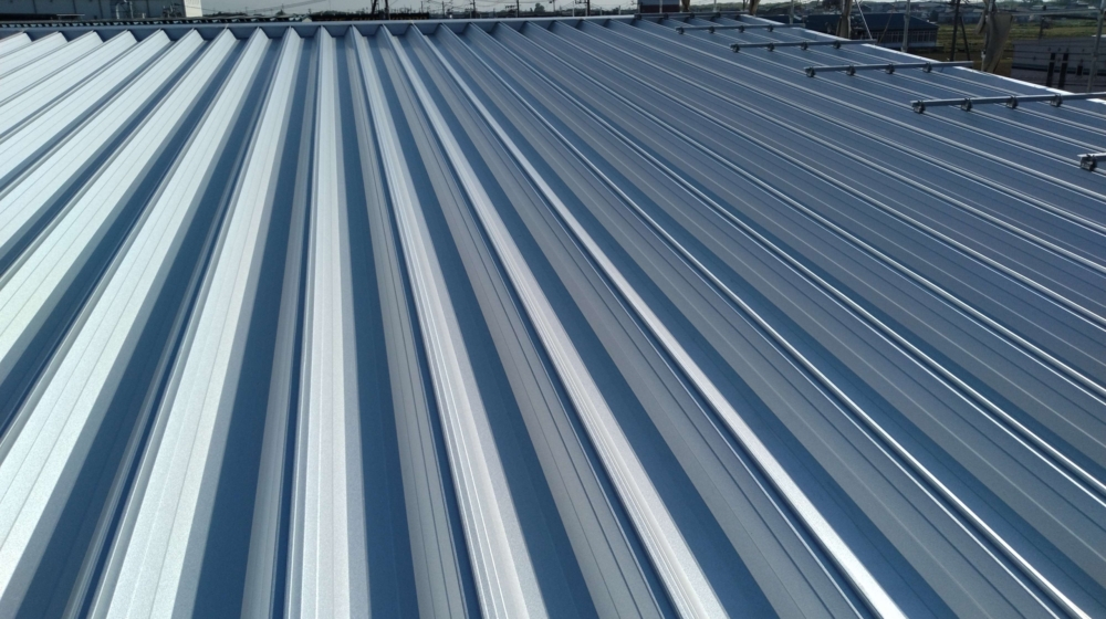 DSC_0538_copy_3998x2998_1